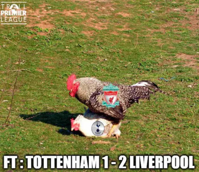 亚冠卡位生死战！布里兰主场无敌争出线，江原FC客场搏命追积分