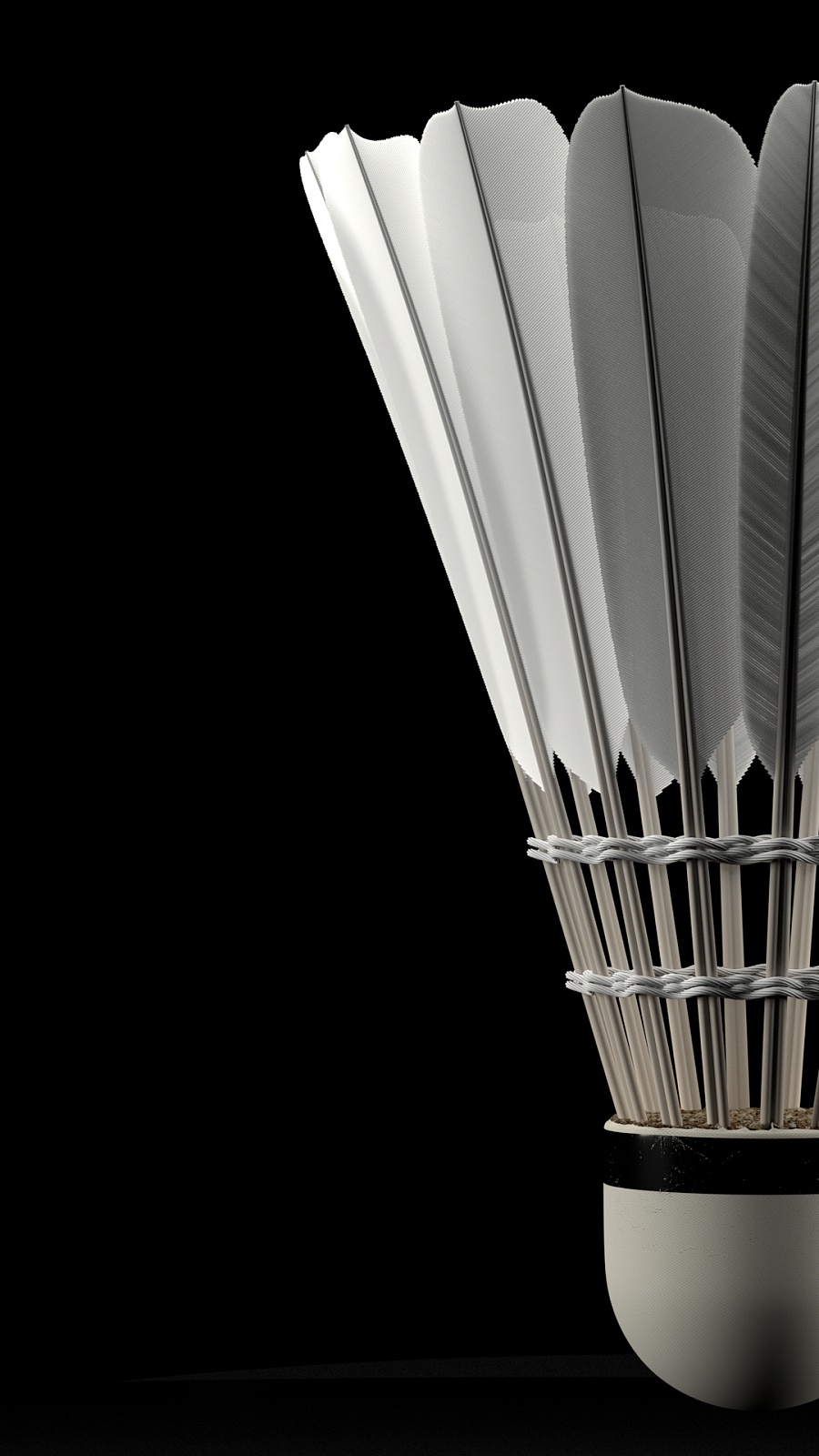 占据领先地 占据领先地