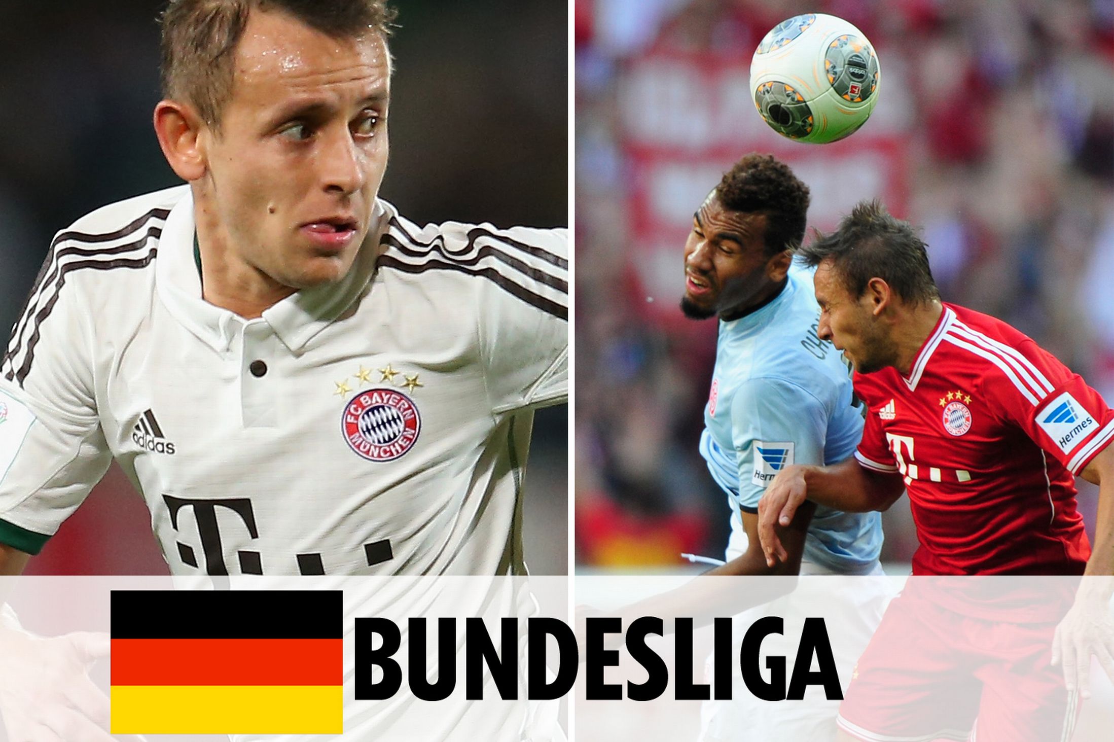 引拍一般向 引拍一般向